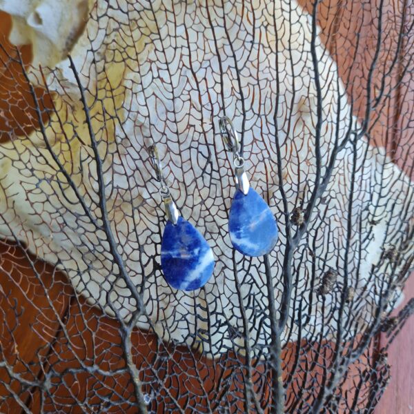 Boucles d'oreilles Sodalite
