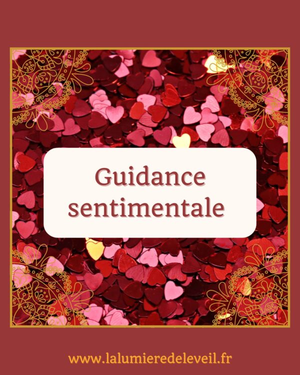 Guidance sentimentale